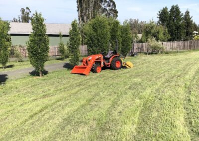 High Weed Mowing